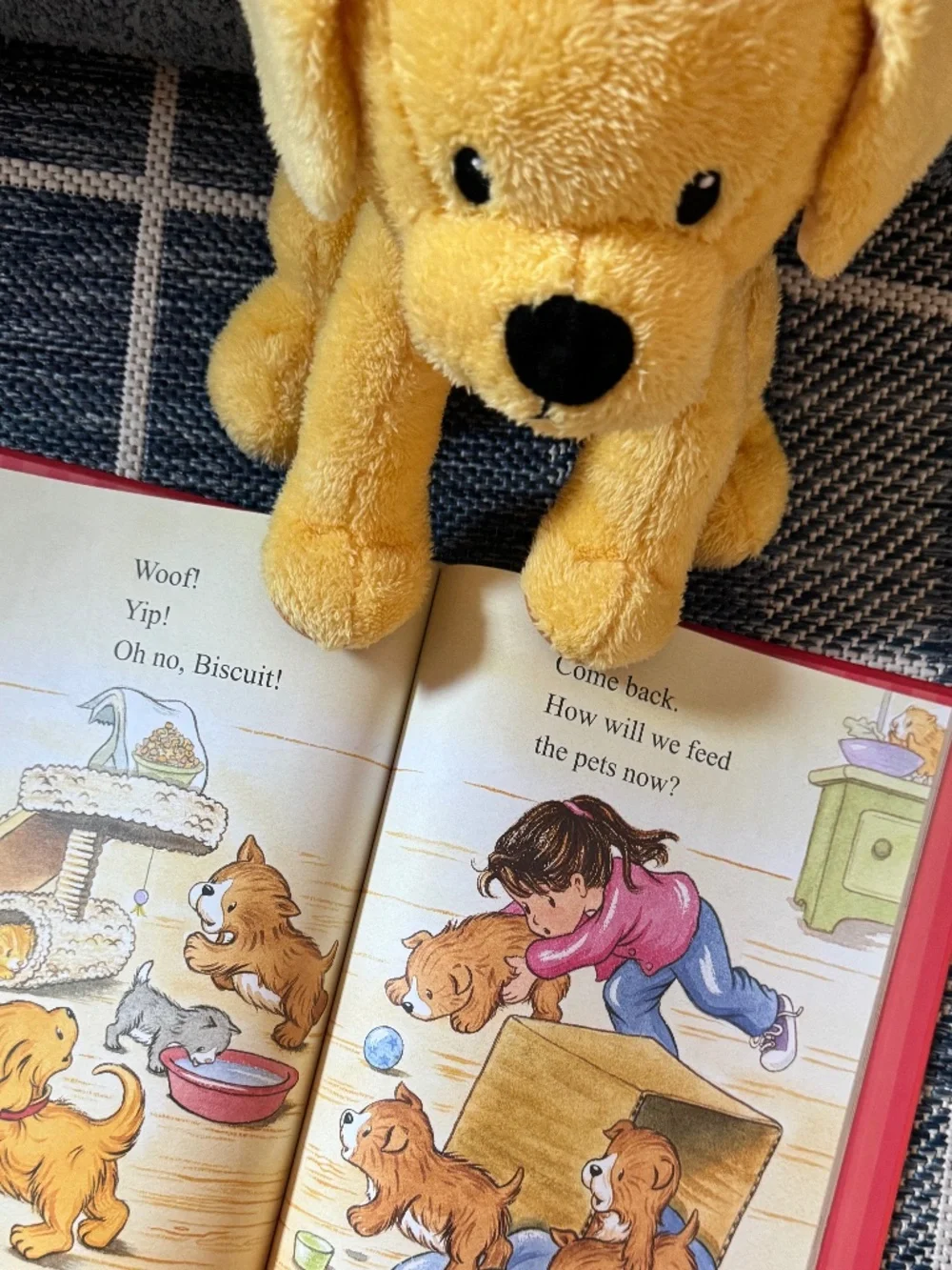 BISCUIT | Children's Book & Plush Bundle